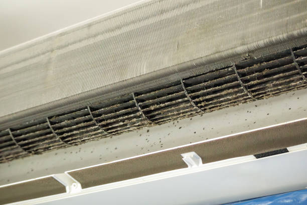 Best Best Air Duct Cleaning Company  in Braddock Heights, MD