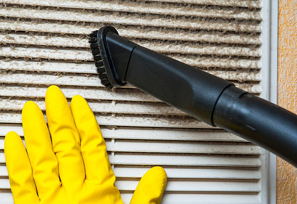 Best Air Duct Mold Removal  in Braddock Heights, MD